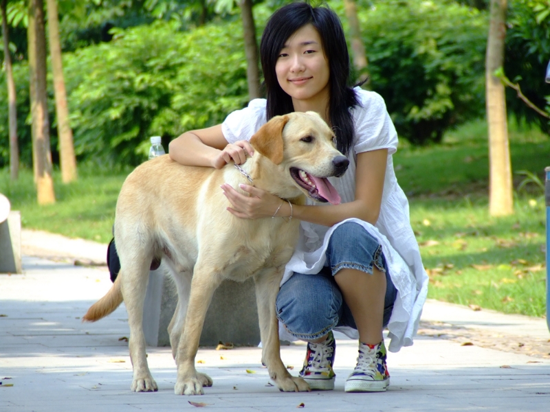 风中的绿叶的第一张照片--淮安相亲服务中心