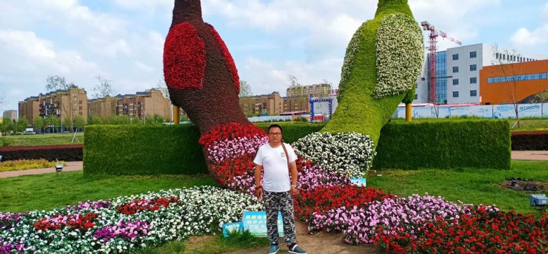 尘埃的第一张照片--淮安相亲服务中心