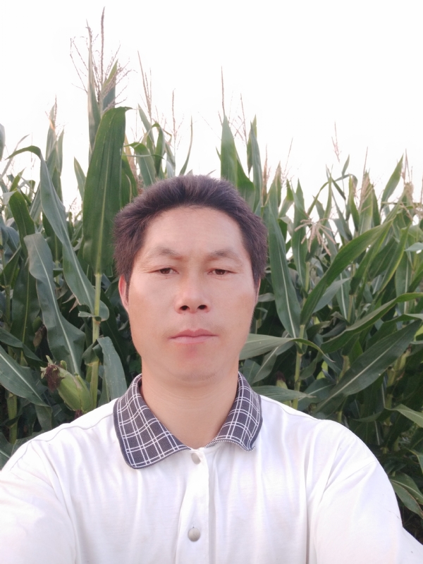 四海游龙的第一张照片--淮安相亲服务中心