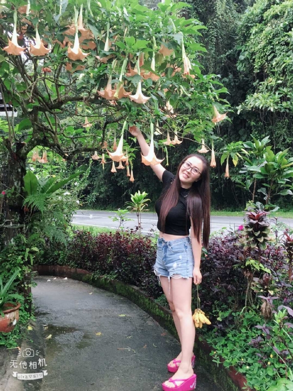 离异单身无子的第二张照片--淮安相亲服务中心