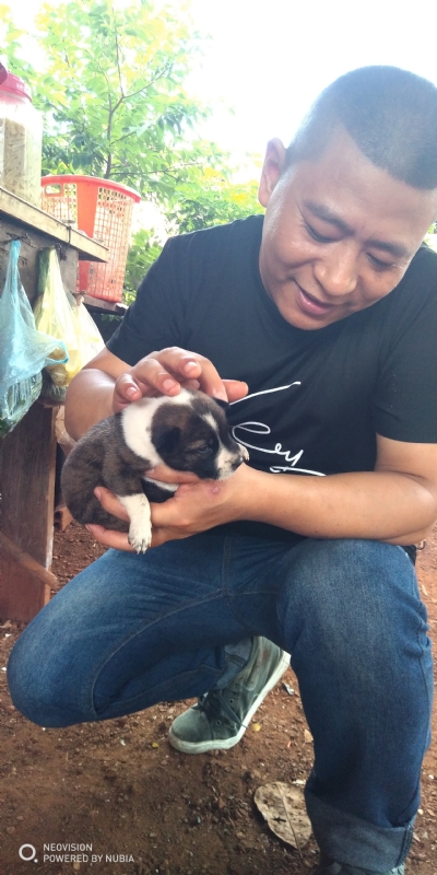 深圳相亲的第一张照片--淮安相亲服务中心