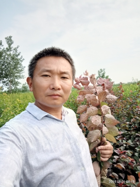 孩子爸的第一张照片--淮安相亲服务中心