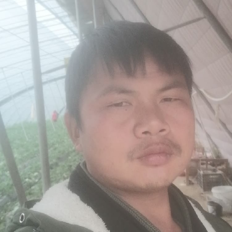 孤狼‘的第一张照片--淮安相亲服务中心