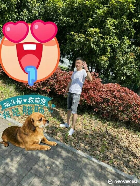 我若不坚强谁替我勇敢的第一张照片--淮安相亲服务中心