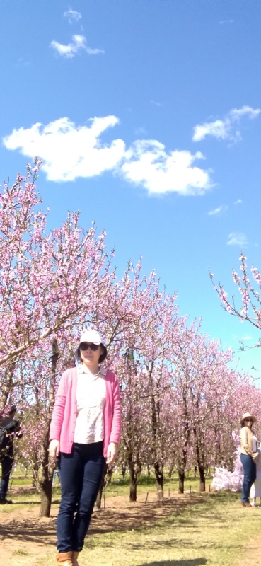 Grace的第二张照片--淮安相亲服务中心