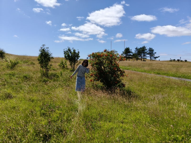 秋蝉的第一张照片--淮安相亲服务中心