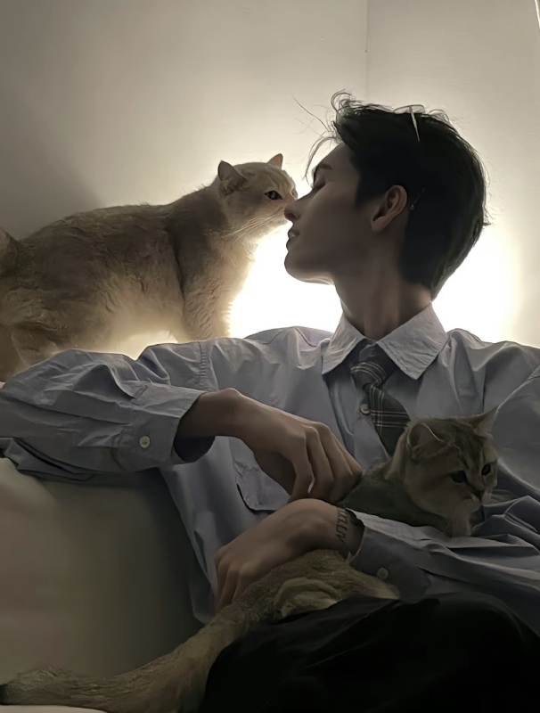 怪猫的第一张照片--淮安相亲服务中心