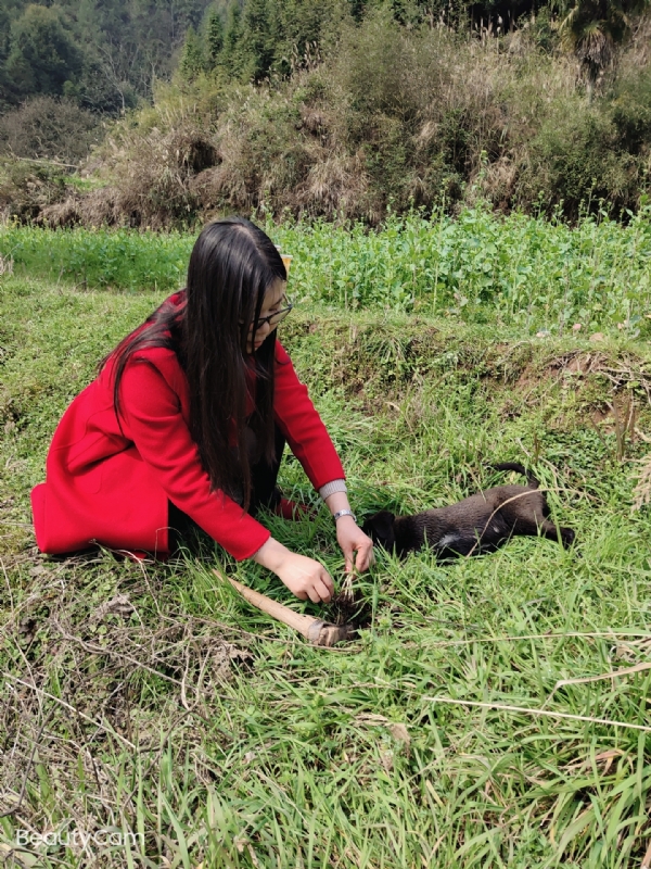 下一个春和秋的第一张照片--淮安相亲服务中心