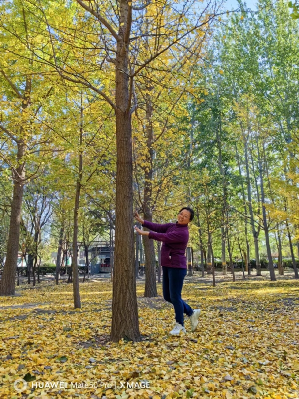 Shirley的第一张照片--淮安相亲服务中心