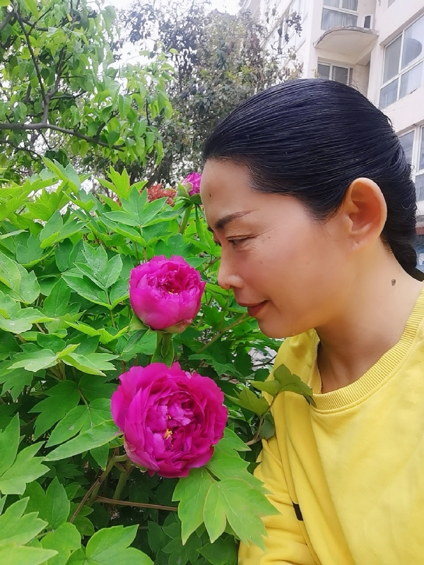 厚德载物的第一张照片--淮安相亲服务中心