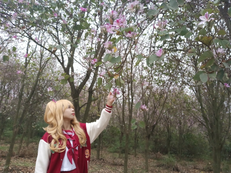 暮秋的第二张照片--淮安相亲服务中心