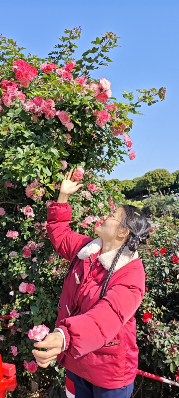 狗狗的第一张照片--淮安相亲服务中心