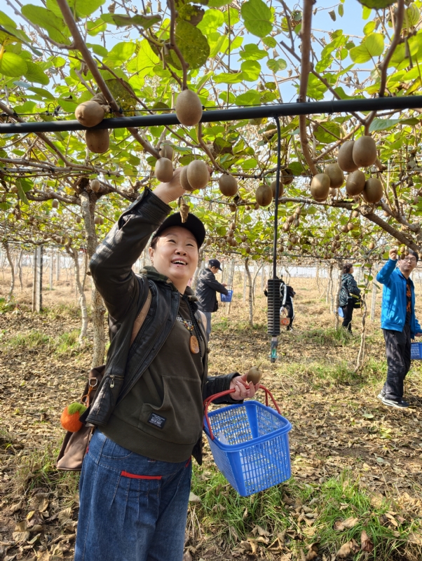 夜莺的第四张照片--淮安相亲服务中心